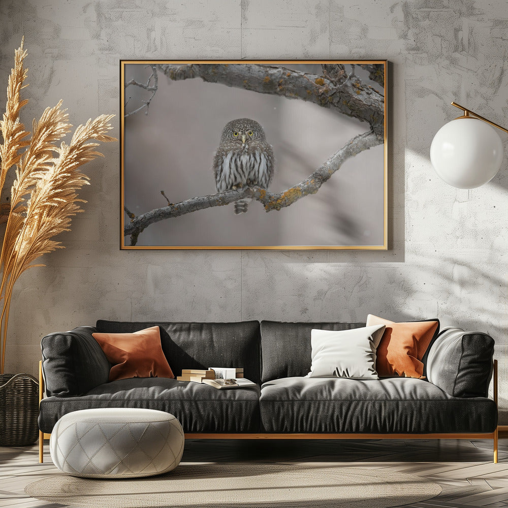 Kleine man in de sneeuw | Canvas