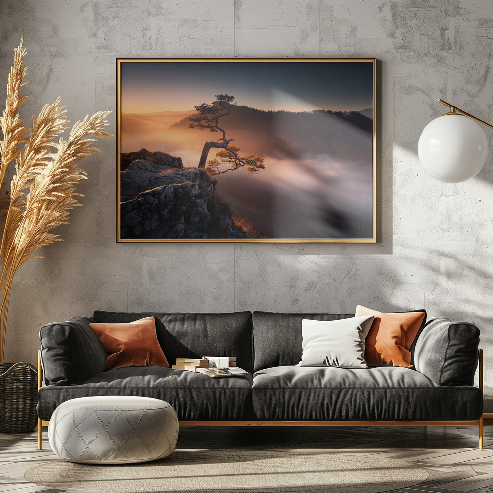 Sokolica | Canvas
