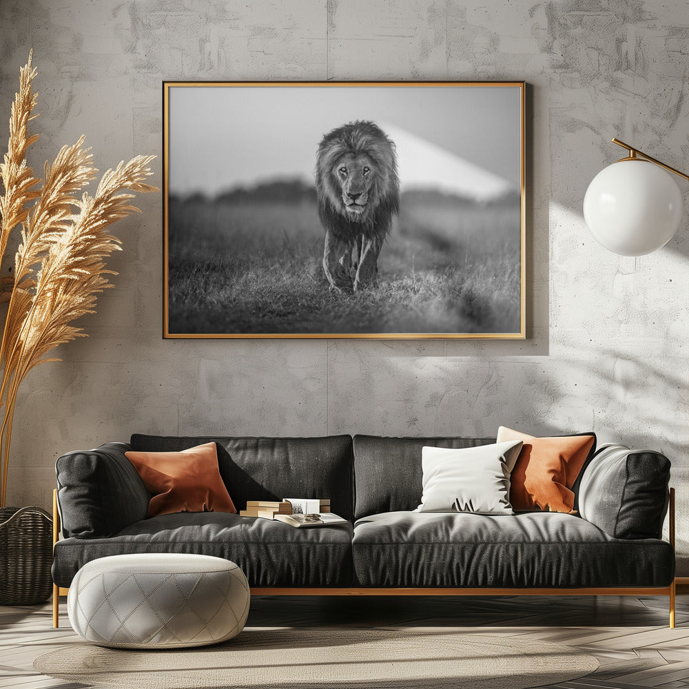 Oude jongen | Canvas