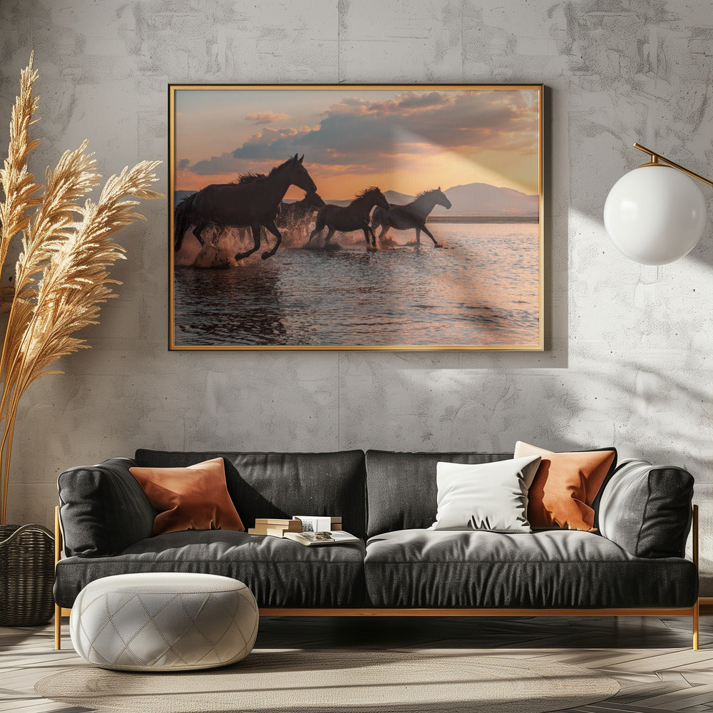 WATERPAARDEN | Poster
