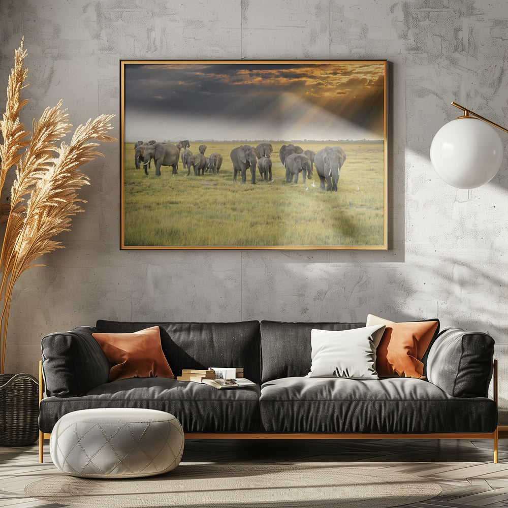 Uit liefde voor olifanten | Canvas