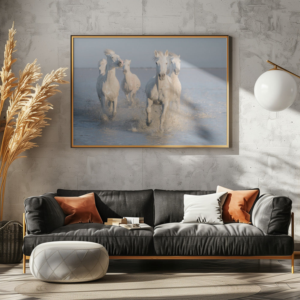 paarden | Poster