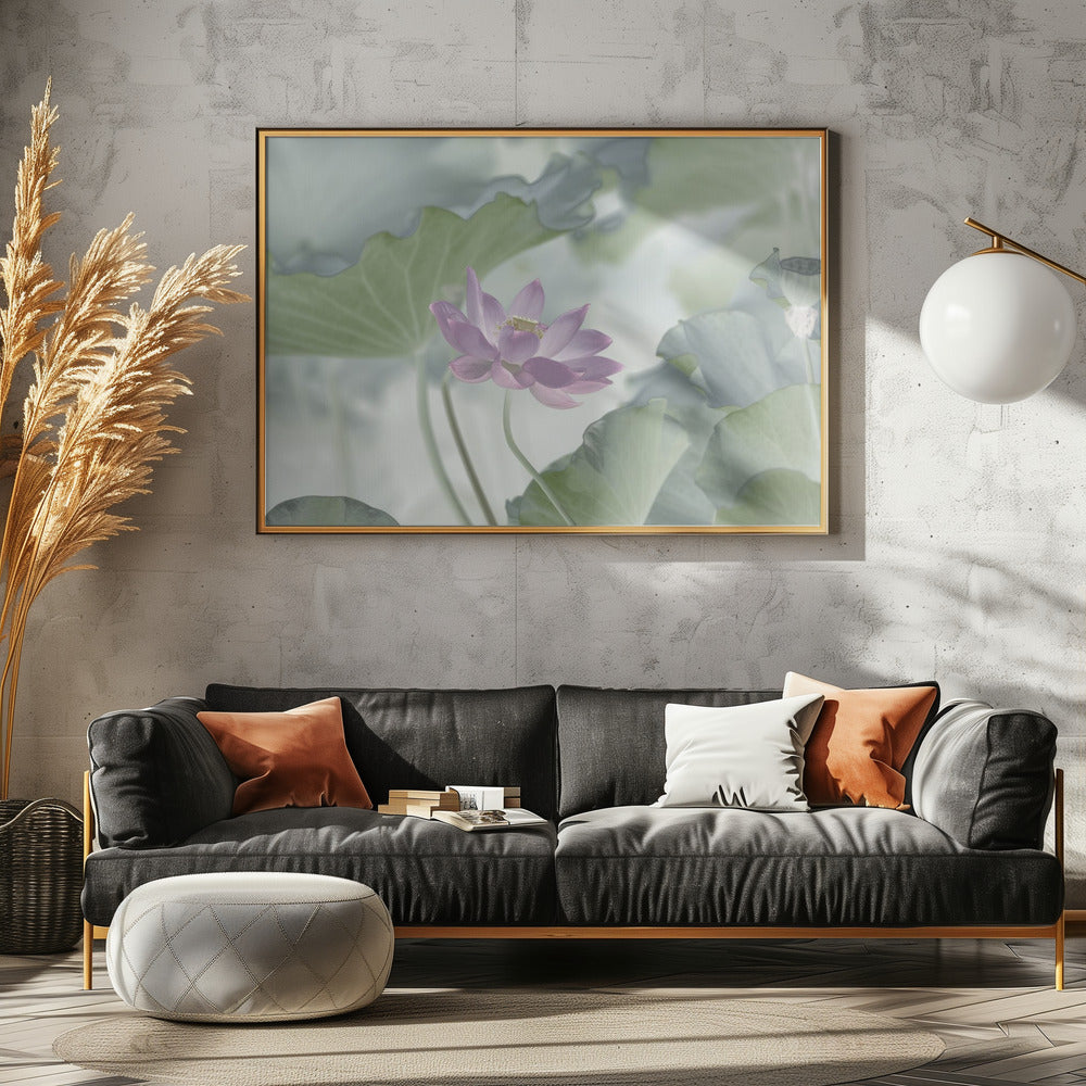 Lotus | Canvas
