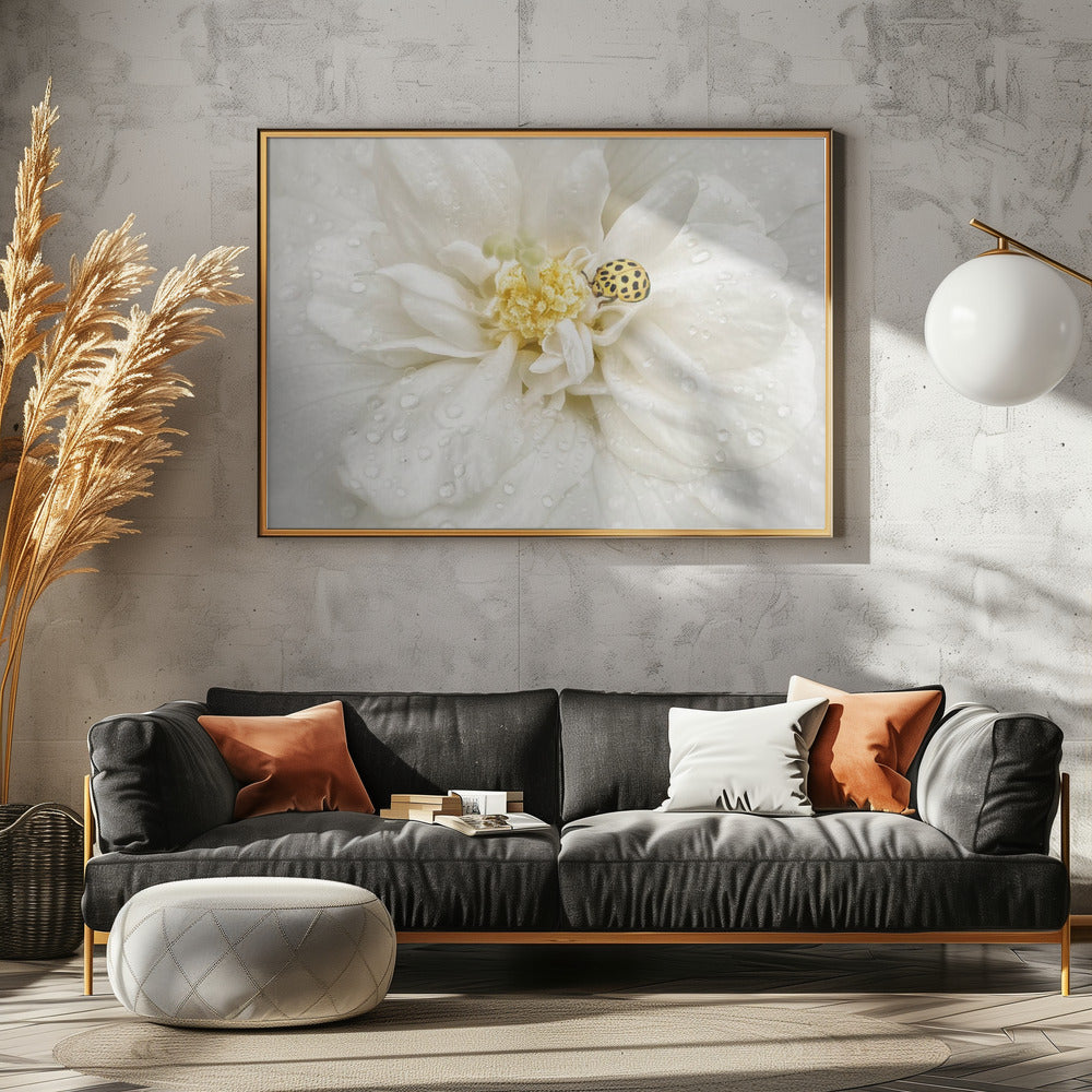 Dauwdruppels zijn de pareltjes van de ochtend | Canvas