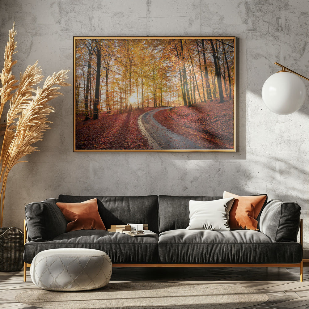 Weg in nationaal park Söderåsen, Zweden | Canvas