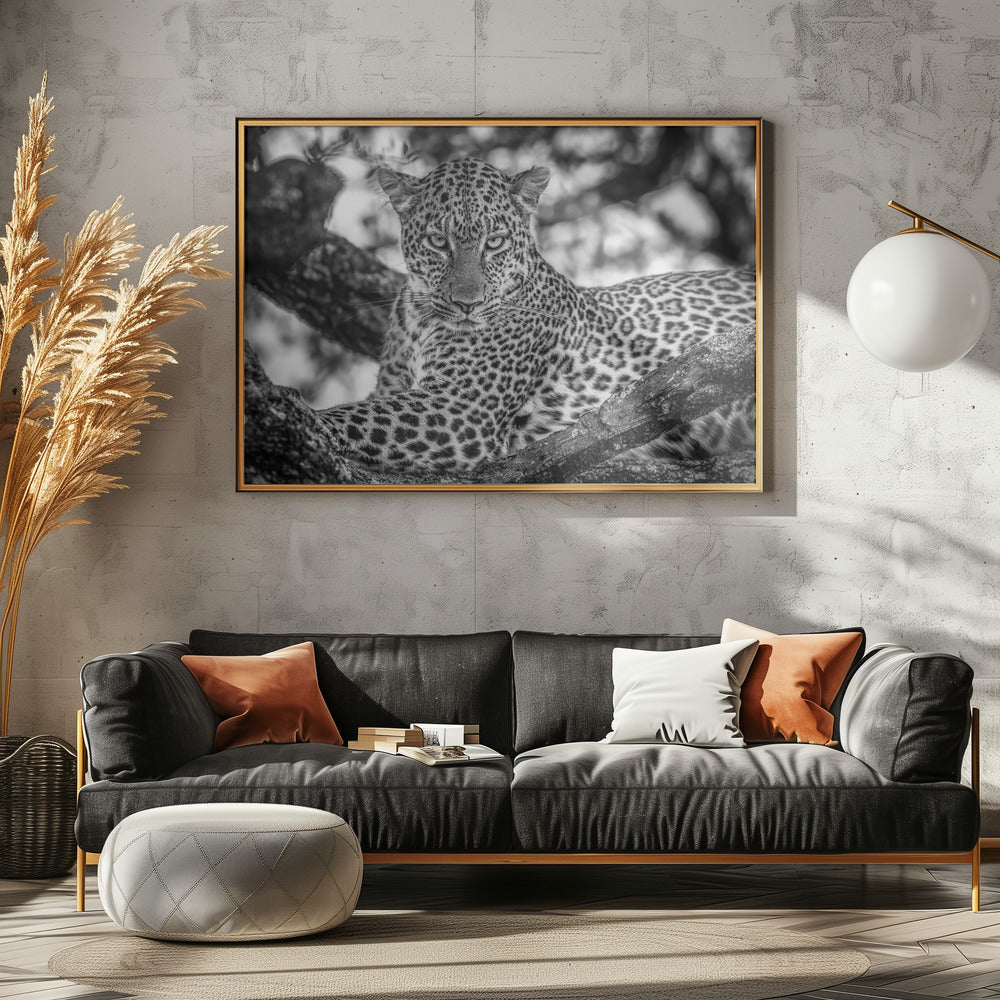 Monochrome schoonheid | Canvas