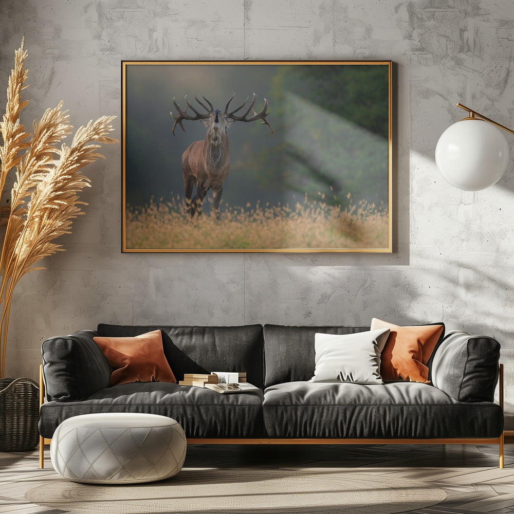 Hertenhuwelijkslied | Canvas