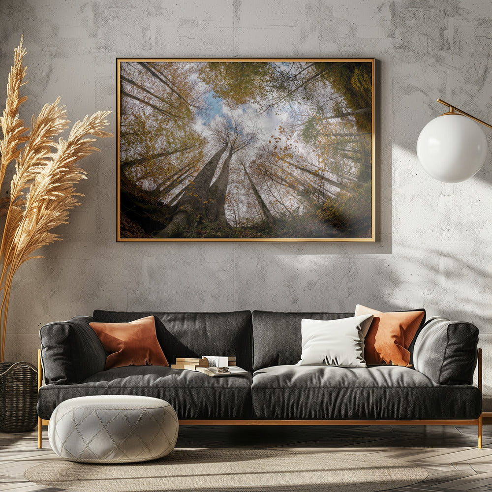 Bos | Canvas