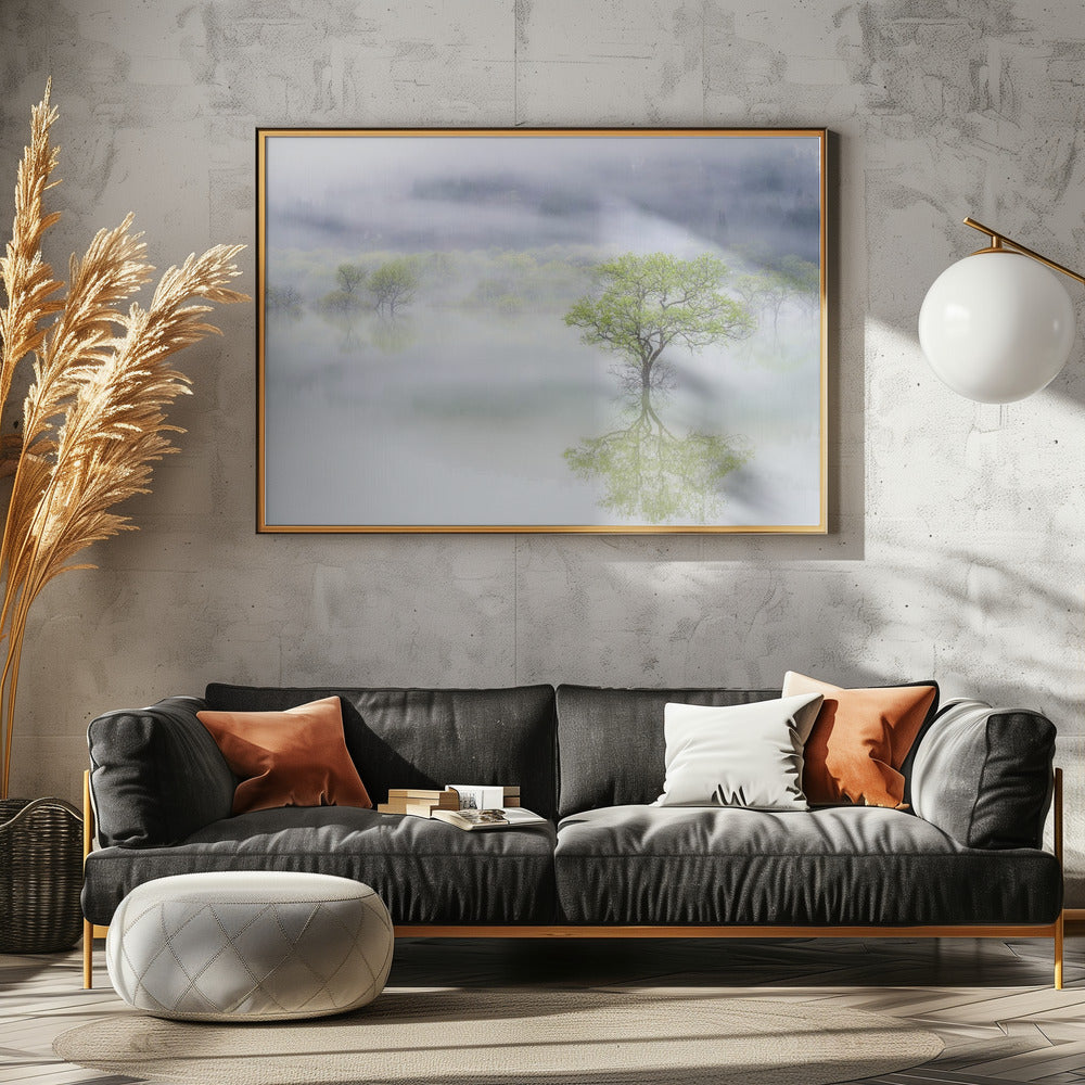 Dromerige boom | Poster