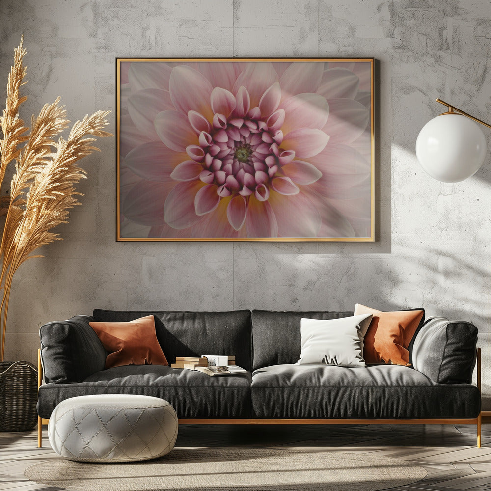 Blush | Canvas