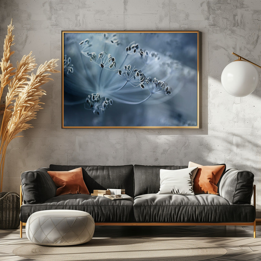 Dille | Canvas