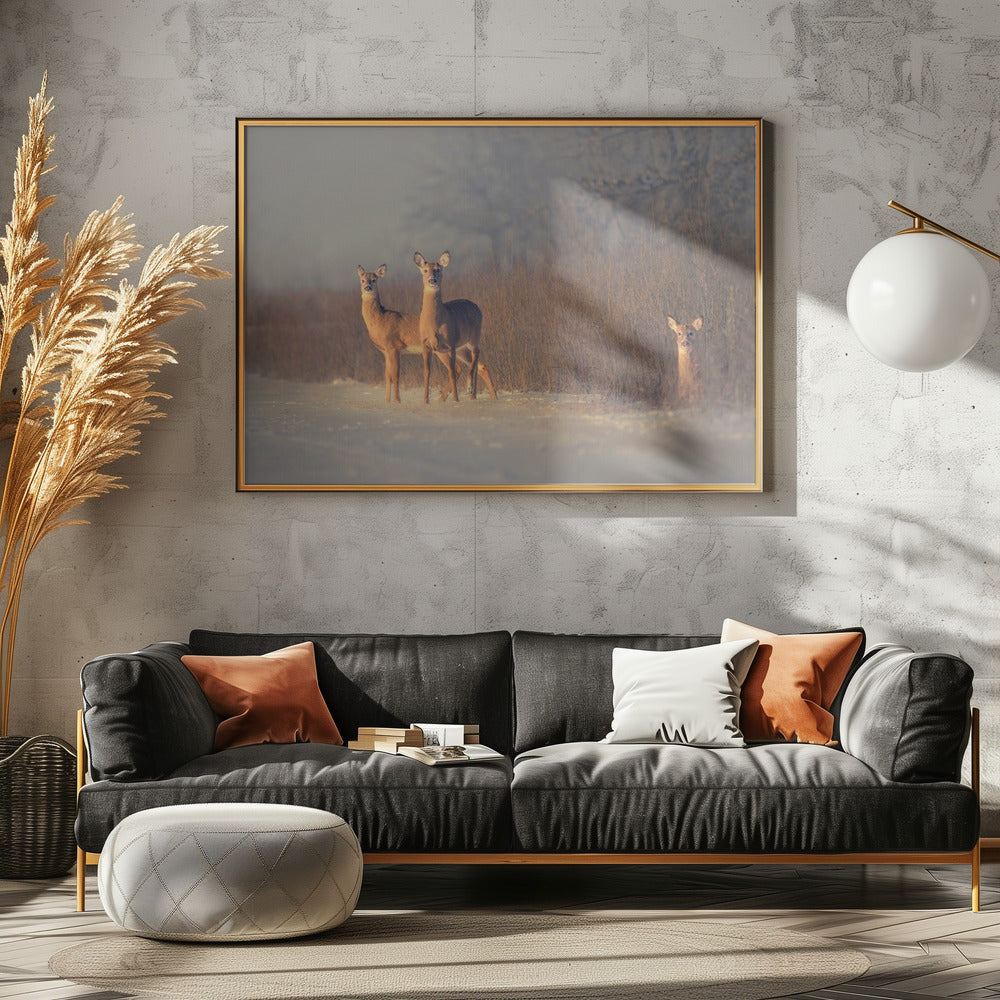 Three Deer | Canvas