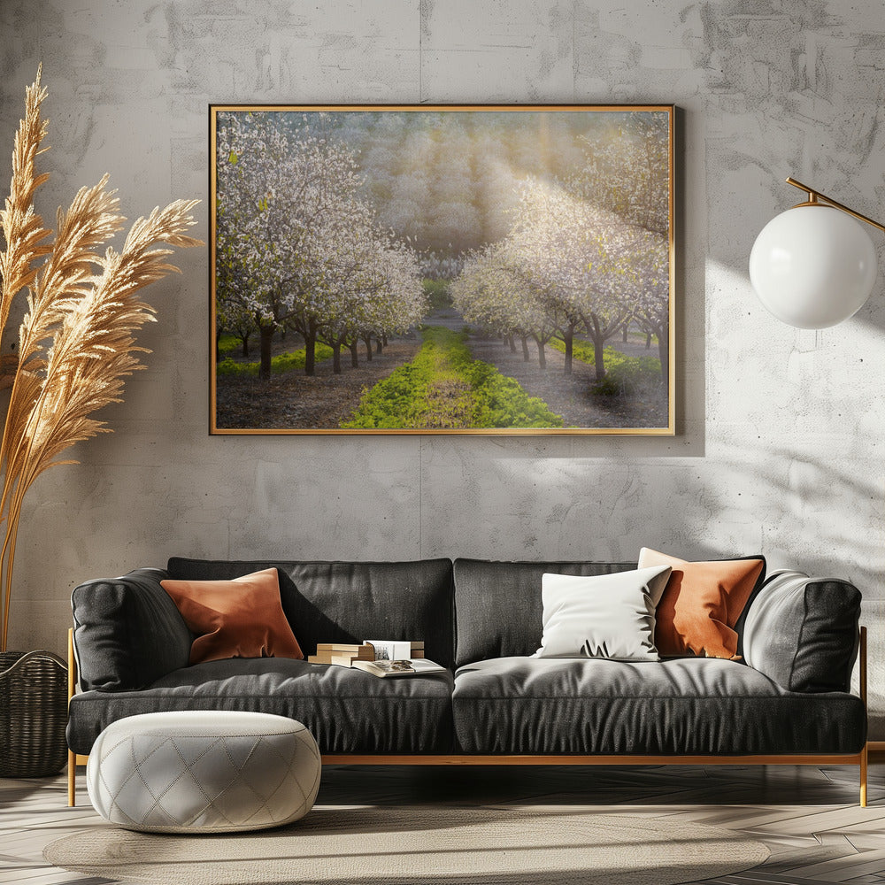 Gouden Amandelen | Canvas