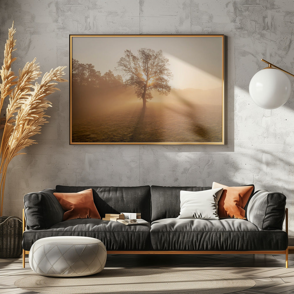 Eenzame boom | Canvas