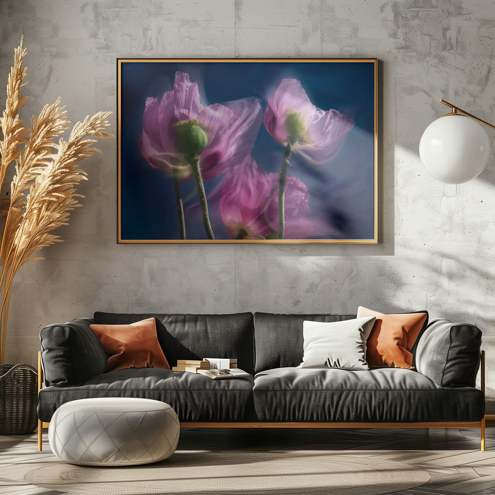 Poppies by the wayside | Canvas