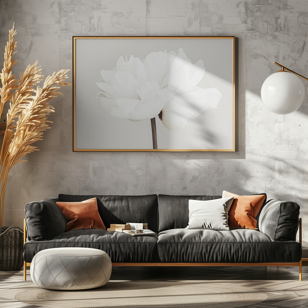 Pioenroos 11 | Canvas