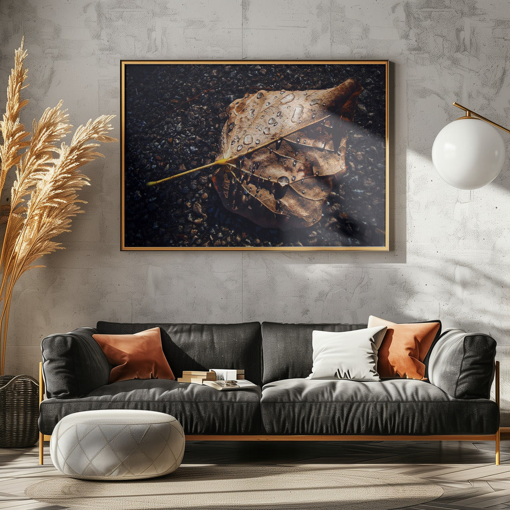 Leaf | Canvas