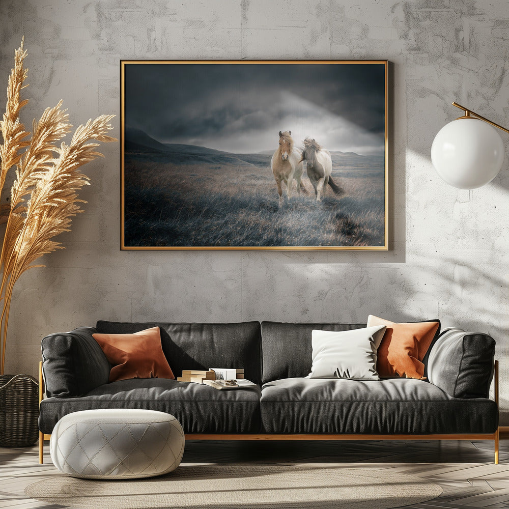 De broers | Canvas