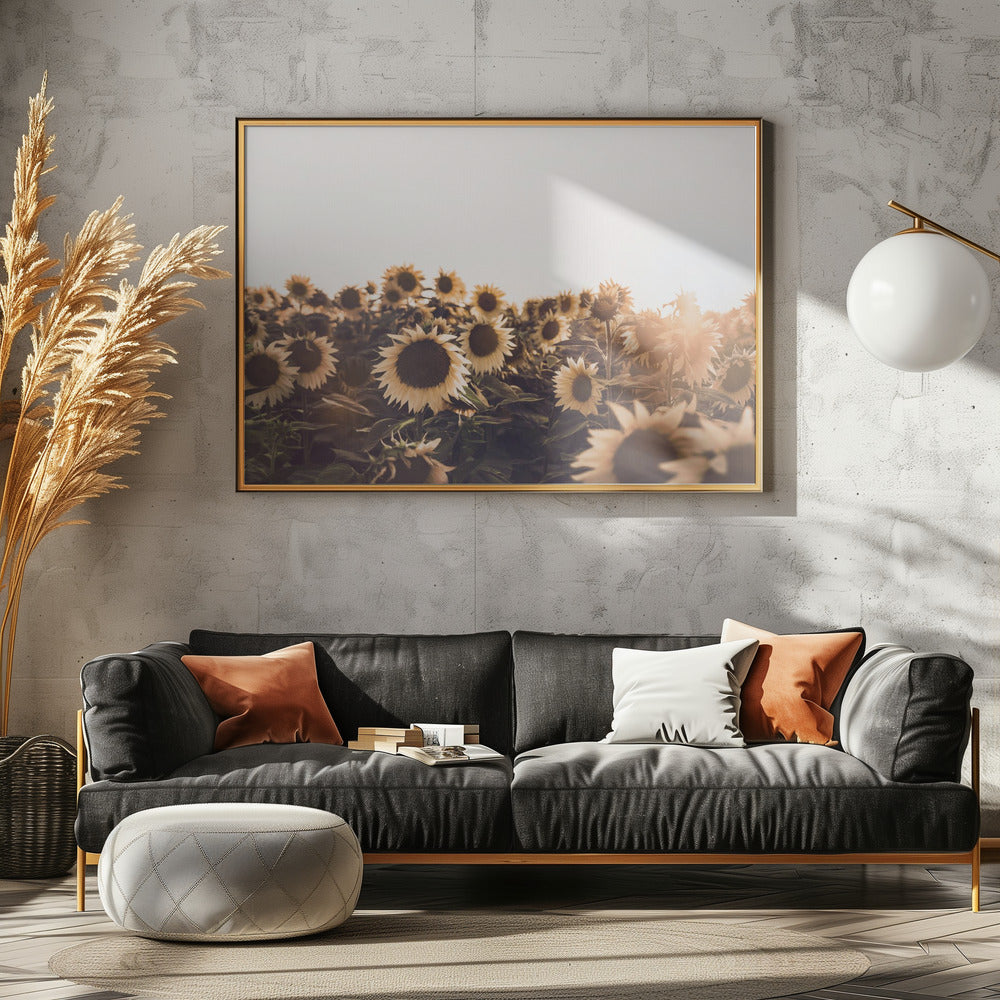 Zonnebloemen | Poster