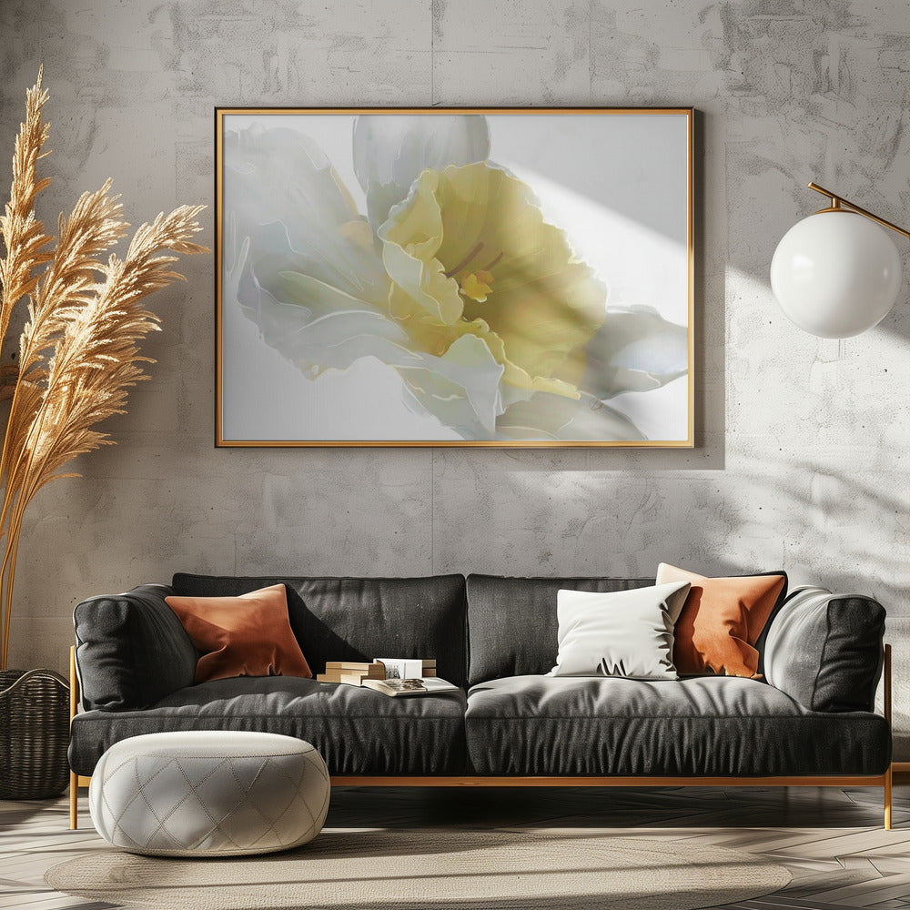Narcis | Canvas