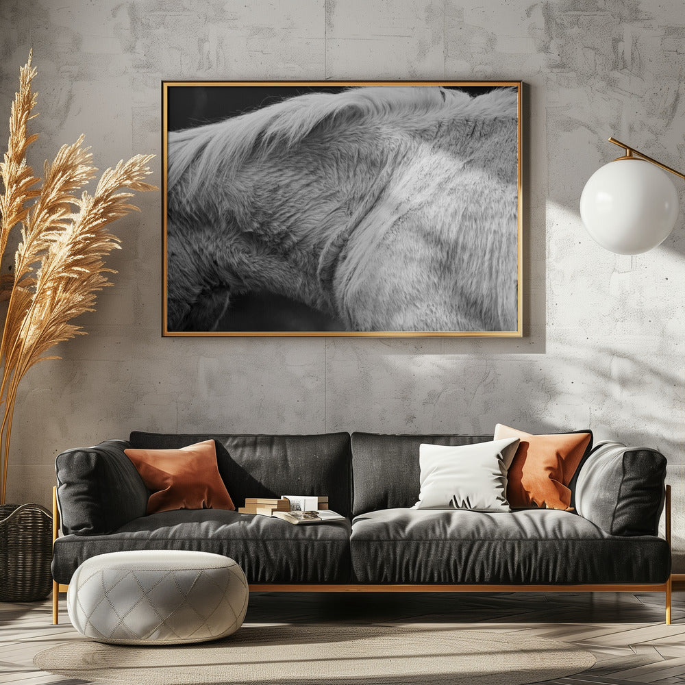 Paard II | Canvas