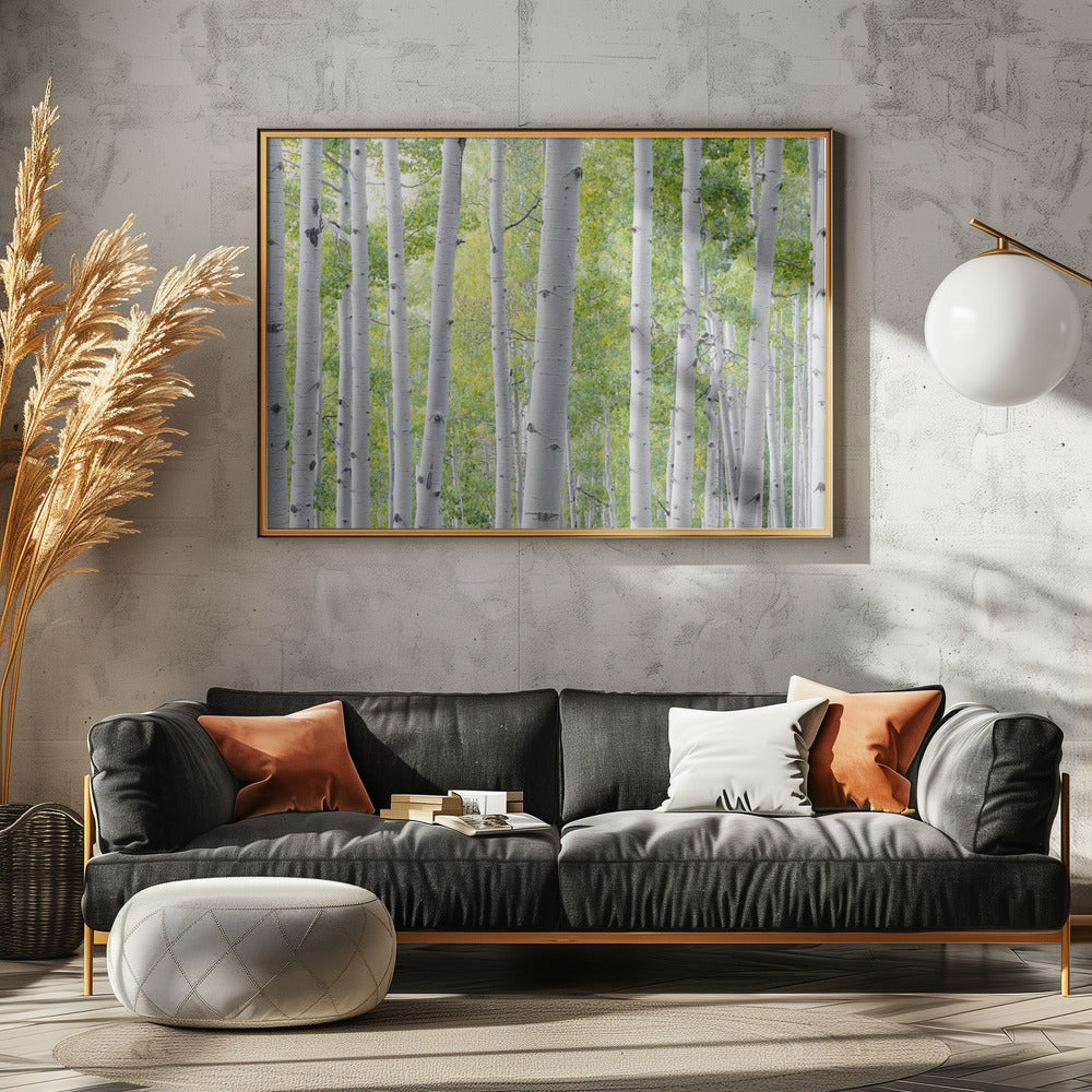 Berkenbos | Poster