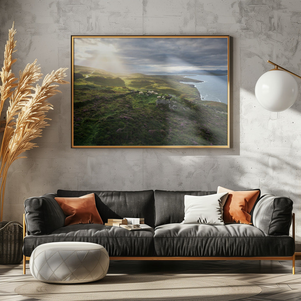 Good Morning Ireland | Canvas