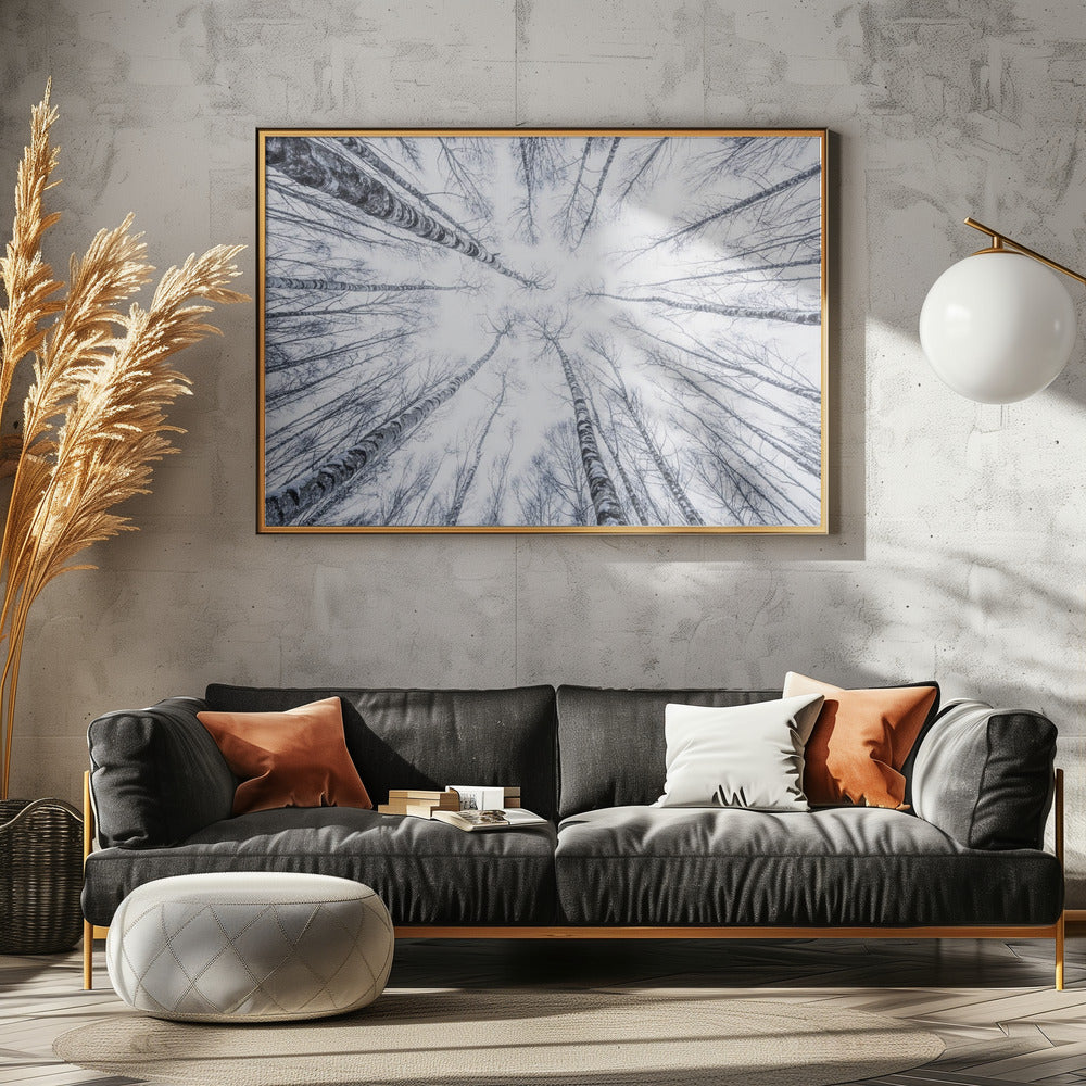 Up | Canvas