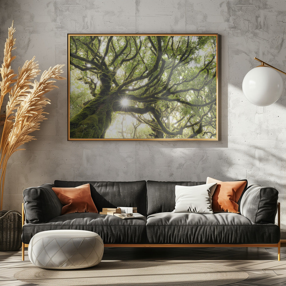 Green Star | Canvas