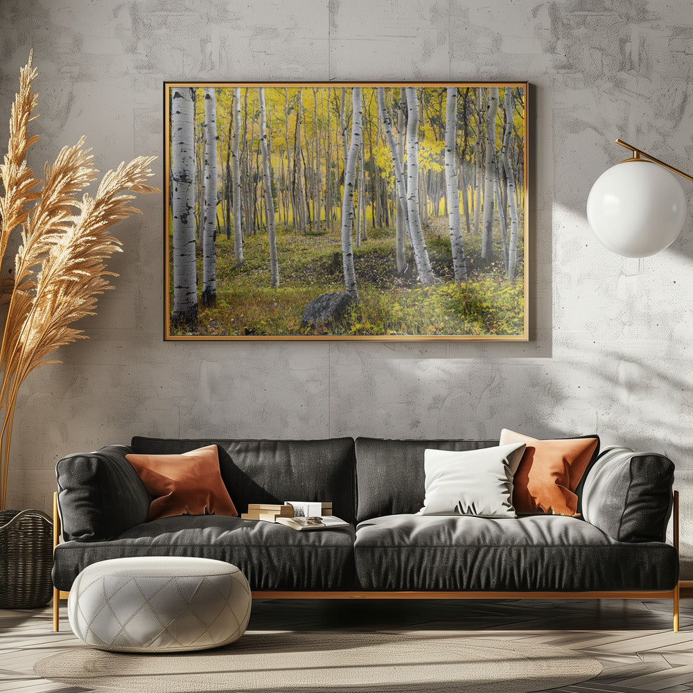 Herfstberken | Canvas