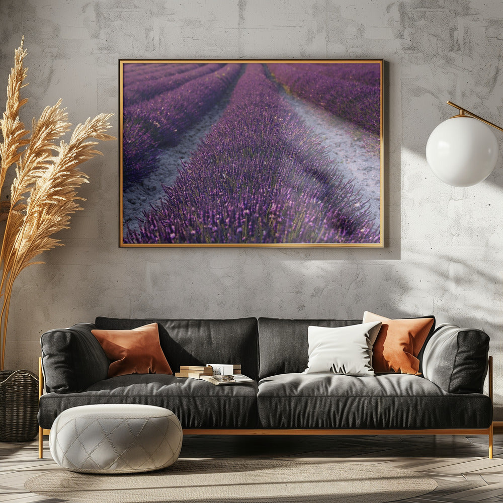 Lavendel Detail | Canvas