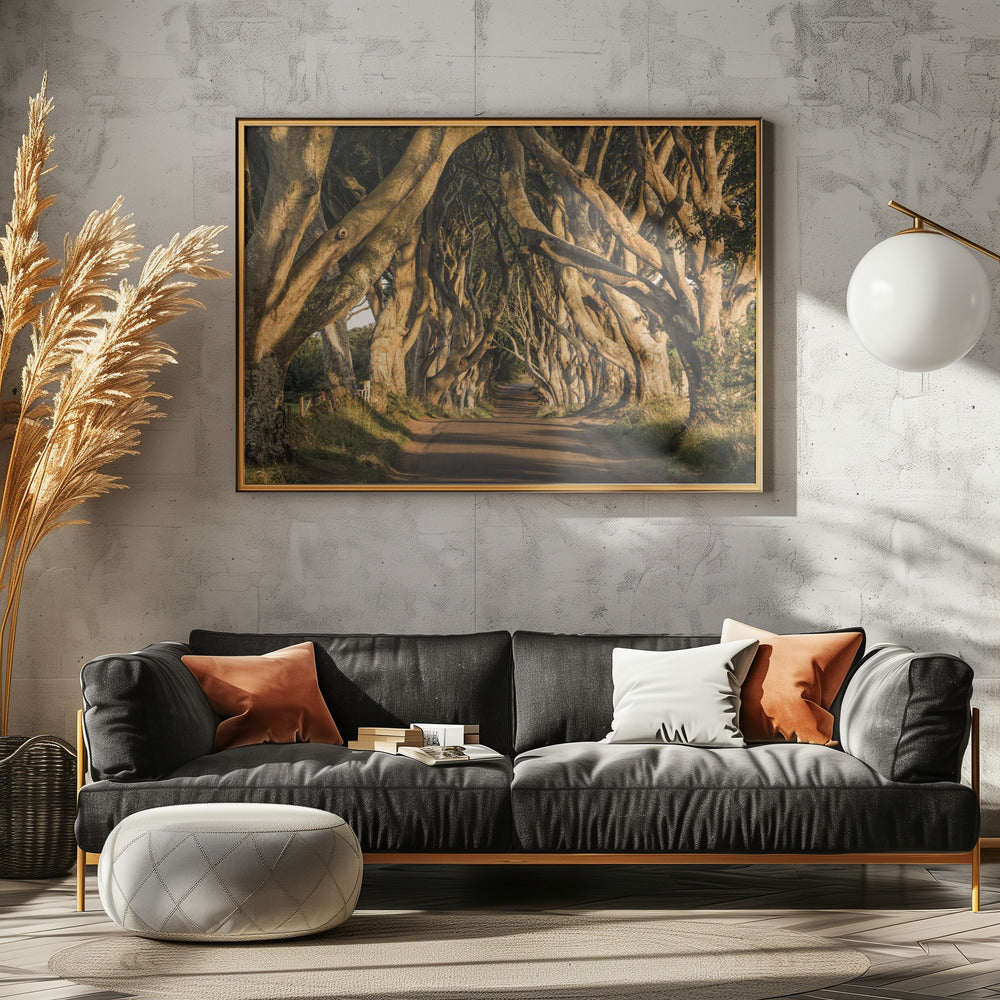 De Laan | Canvas