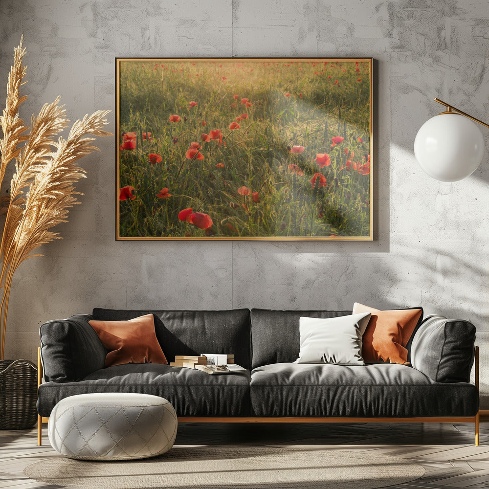 Klaproos Wereld II | Canvas