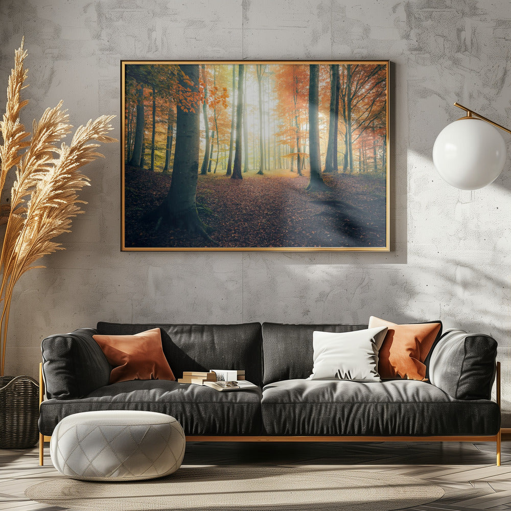 Herfst in het bos | Canvas