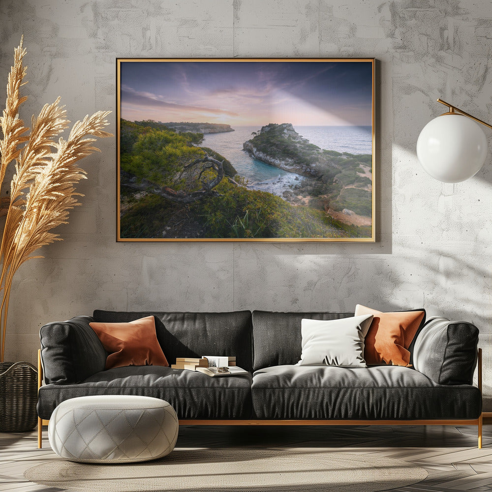 Baydreams | Poster