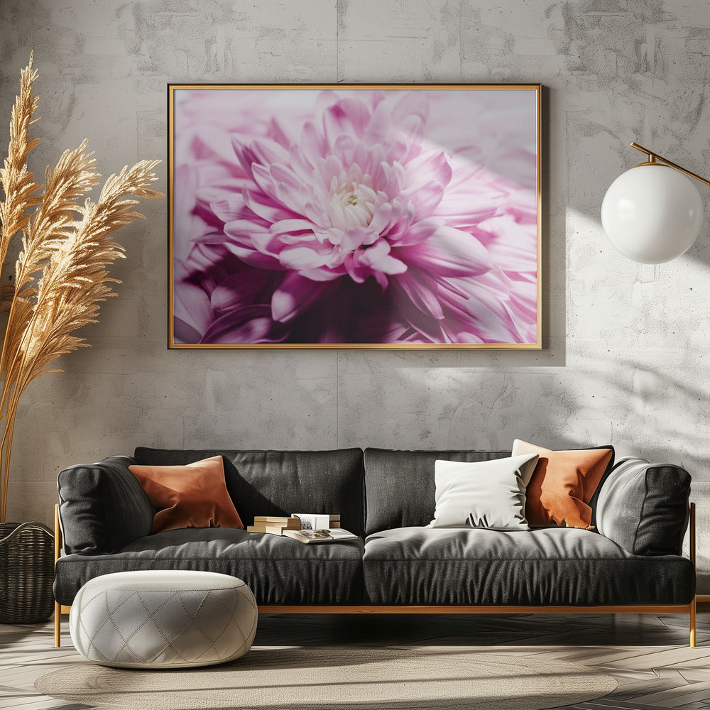 pink Chrysanthemum Blossom | Canvas