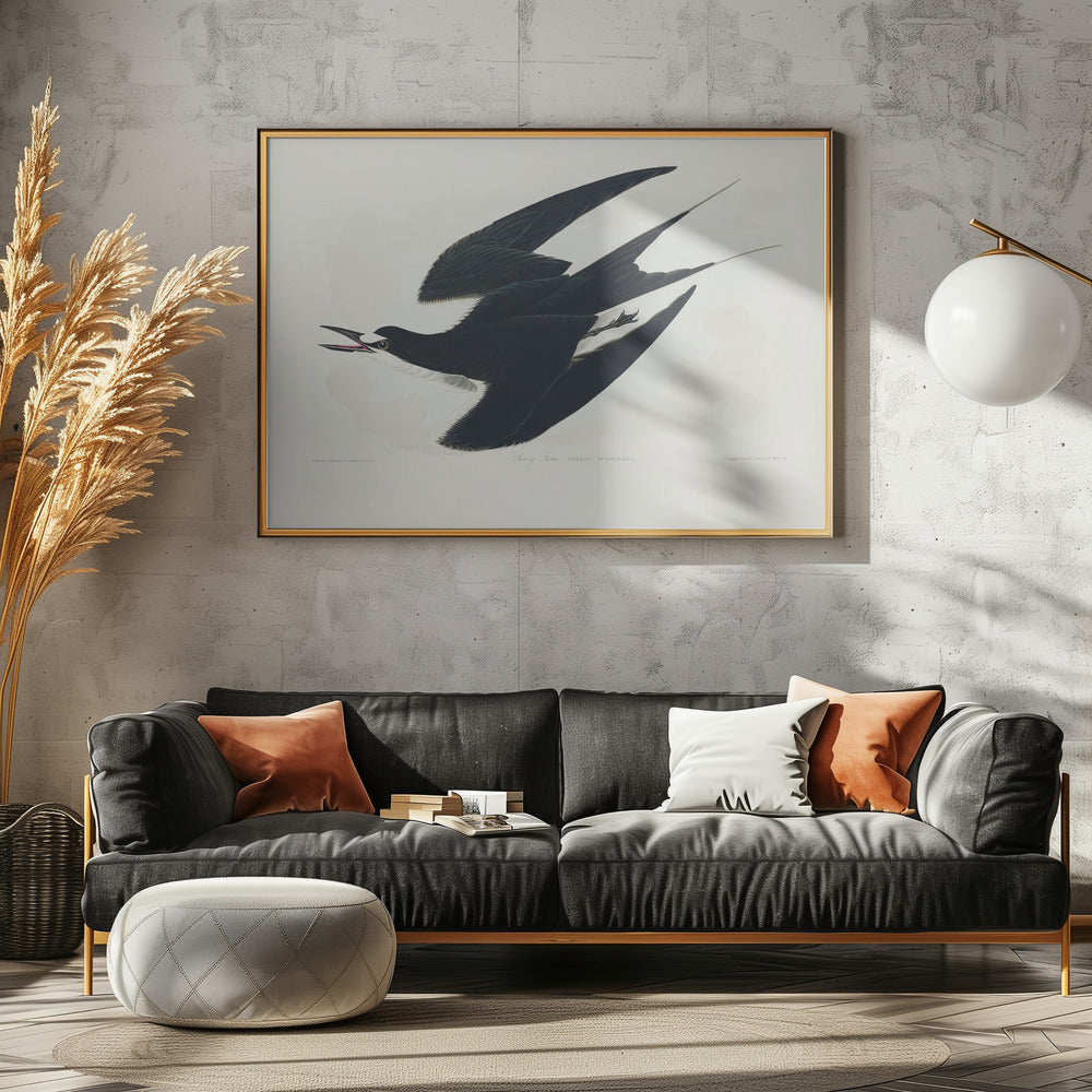 Bonte stern uit Birds of America (1827) | Canvas