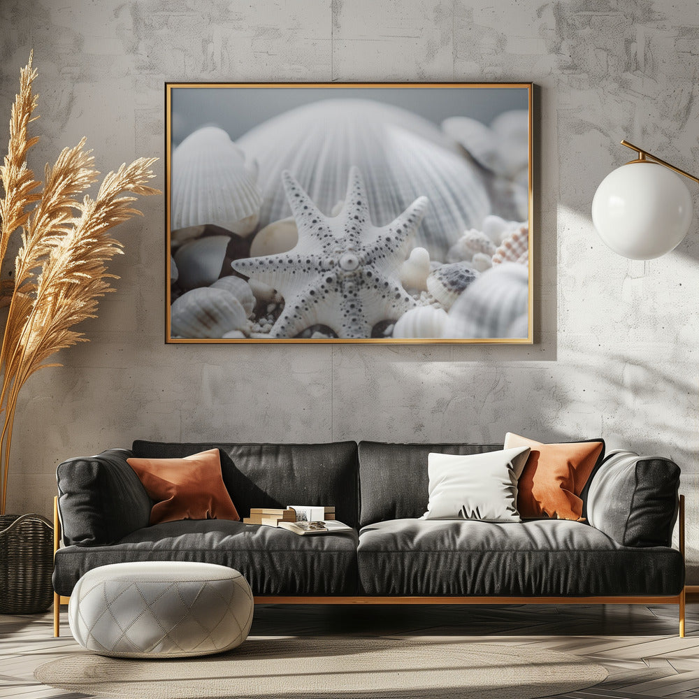 Schelpensymfonie | Canvas