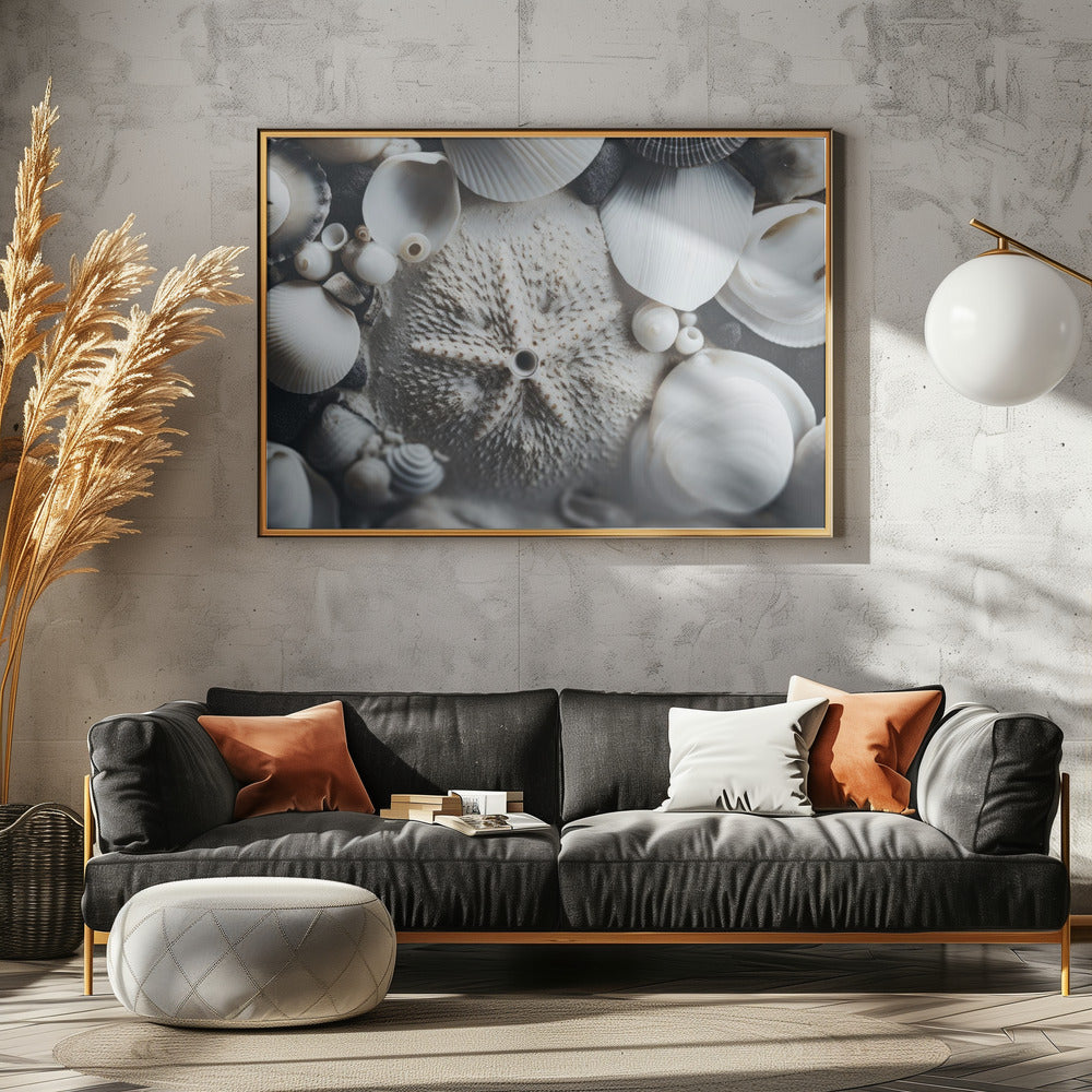 Seashell Symphony | Poster
