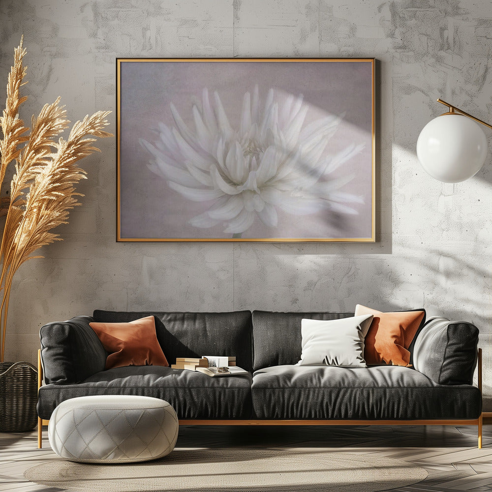 Wit | Canvas