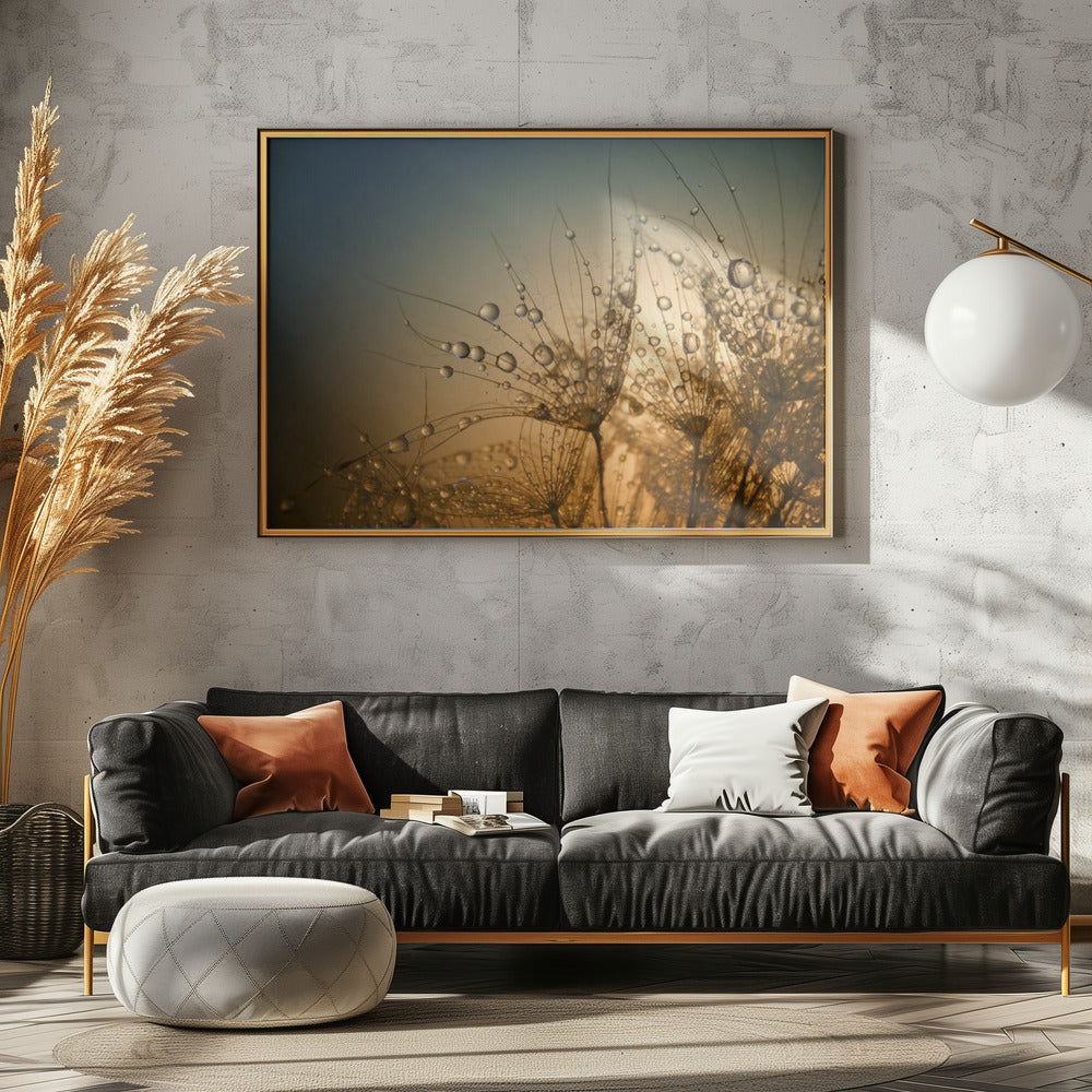 Zacht is de nacht | Canvas