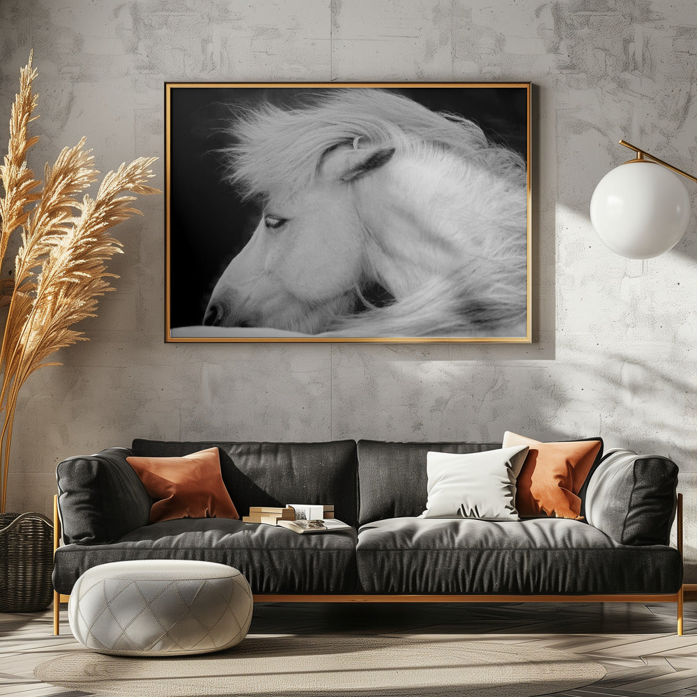 Luister naar de wind | Canvas