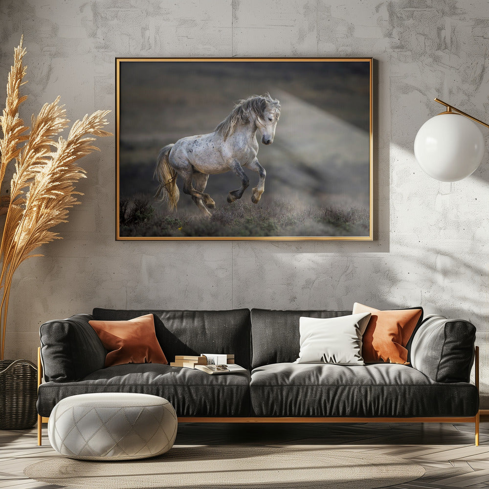 Mustang, Wild Horse / Equus ferus caballus | Poster
