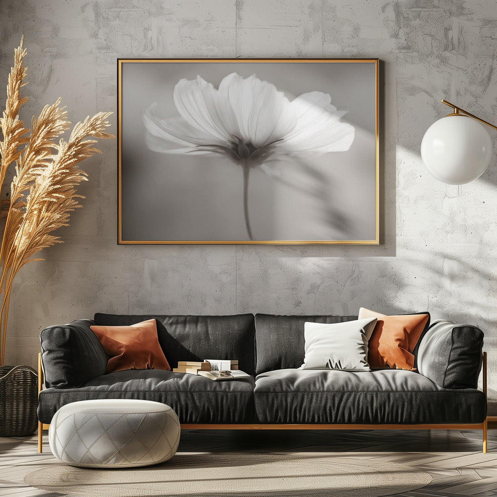Kosmos | Canvas