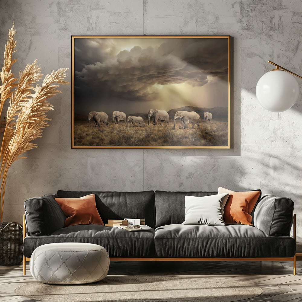Gratis Olifanten | Poster