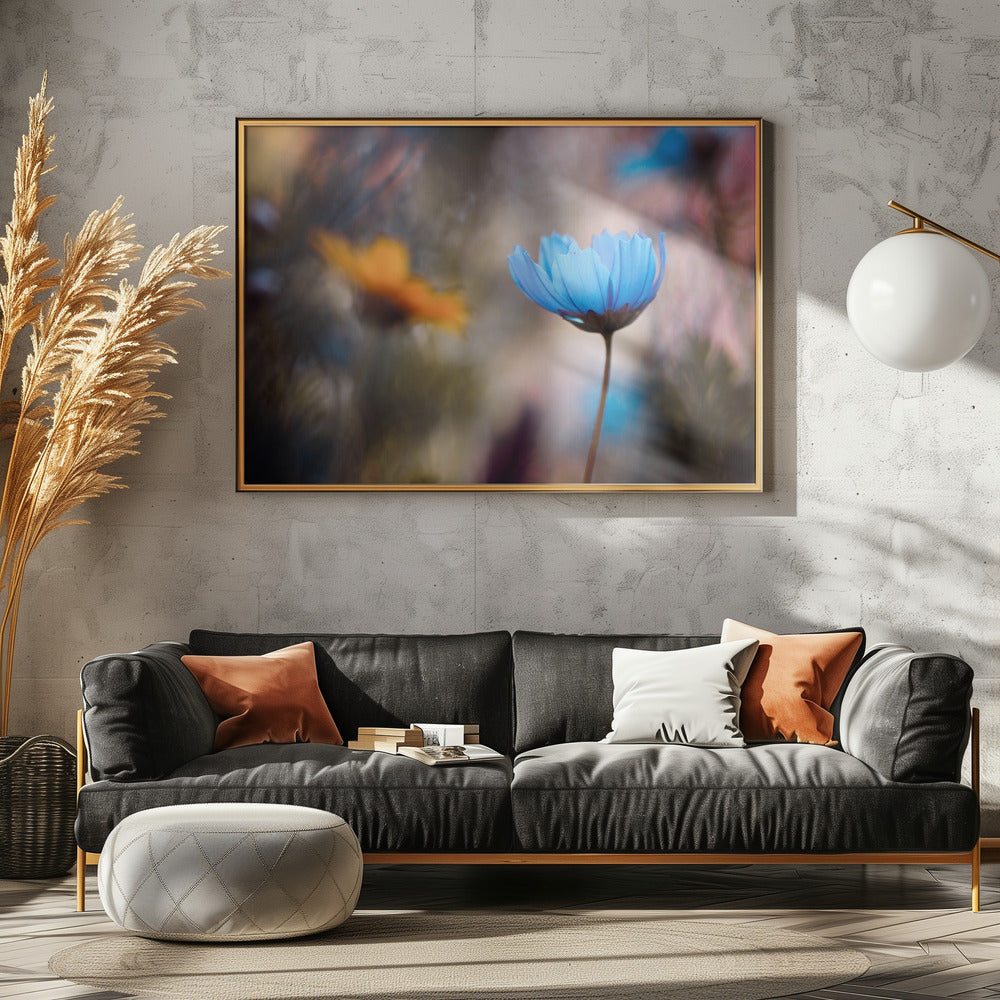 Wil je met mij dansen | Canvas