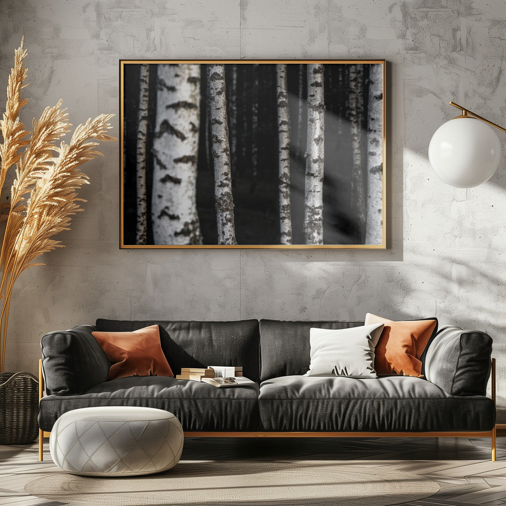 Berkenbomen 8 | Poster