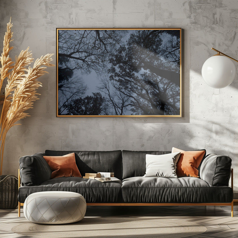 Omhoog kijken 1 | Canvas