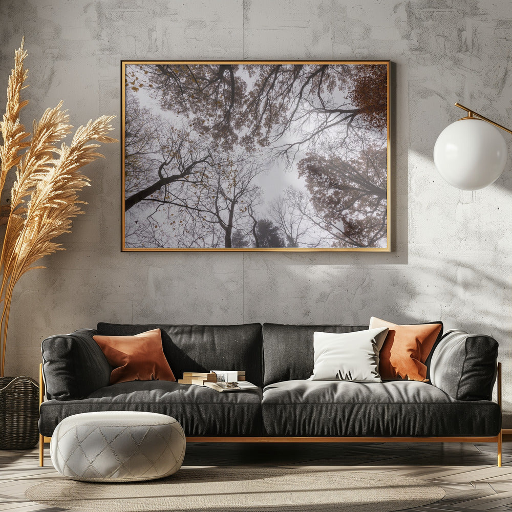 Omhoog kijken 2 | Canvas
