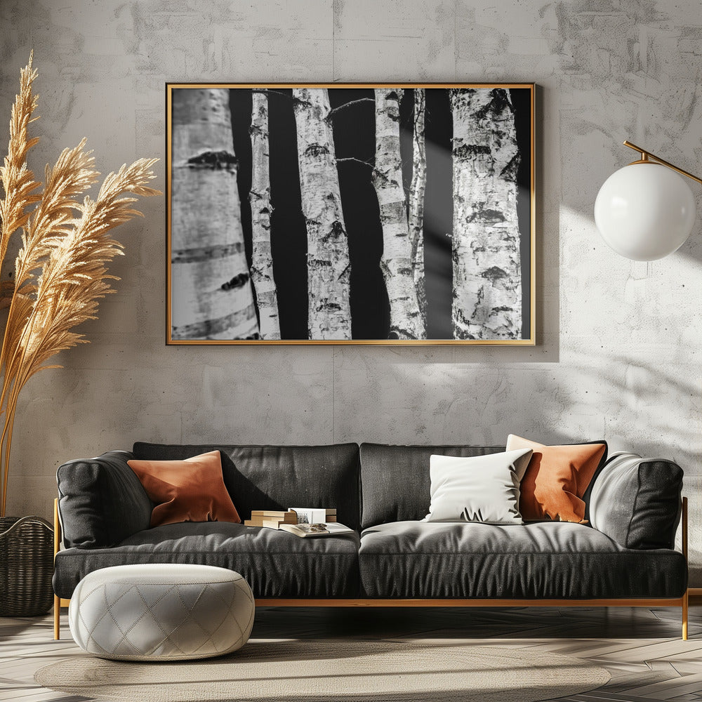 Berkenbomen | Poster